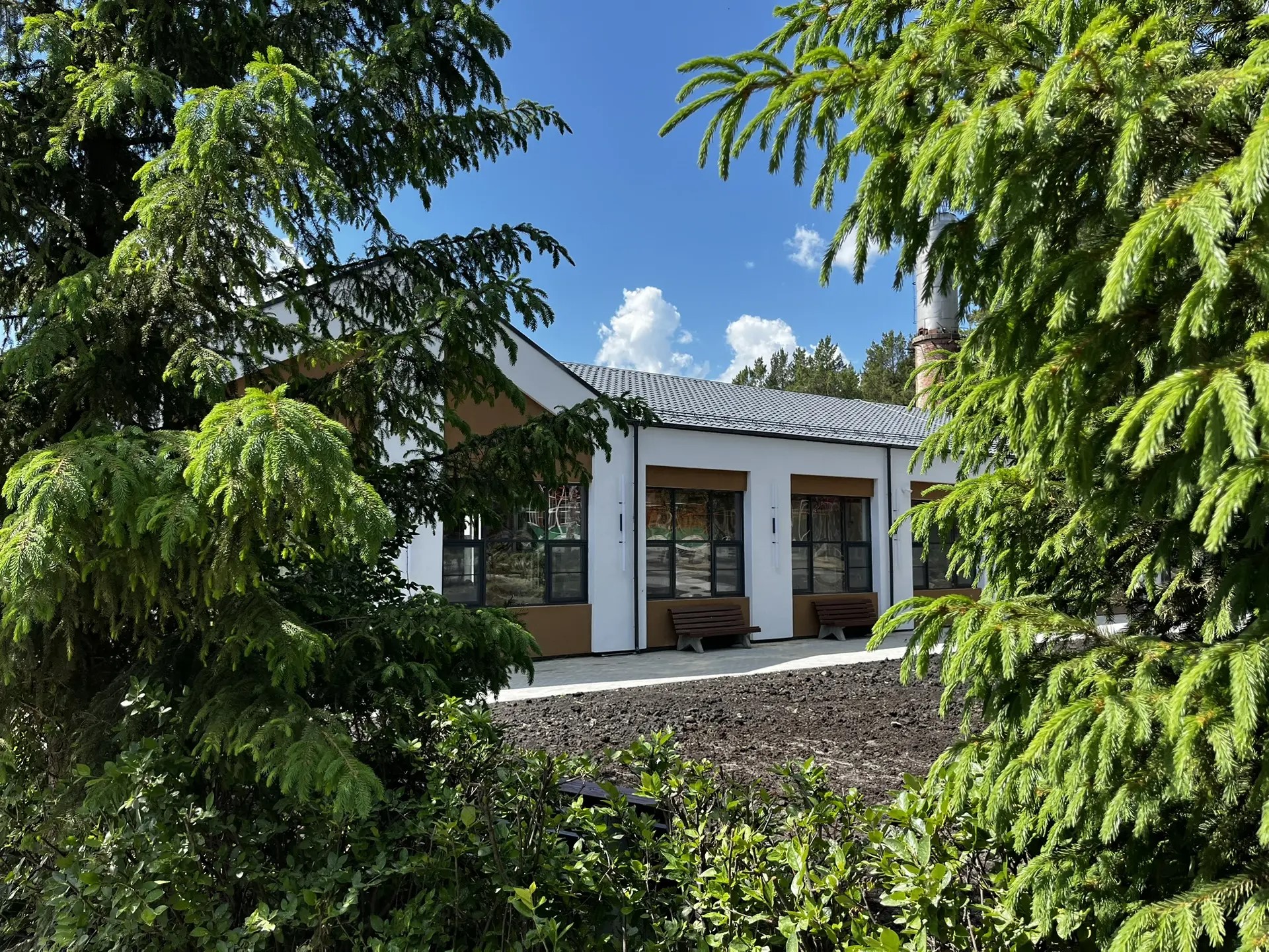 дружба (2)